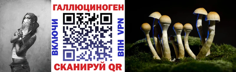 Галлюциногенные грибы Magic Shrooms  Купить закладки  Дмитров 