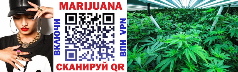Бошки Шишки ГИДРОПОН  Купить закладки  Дмитров 